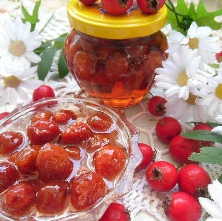 Заготовка ягод боярышника на зиму: 8 лучших рецептов