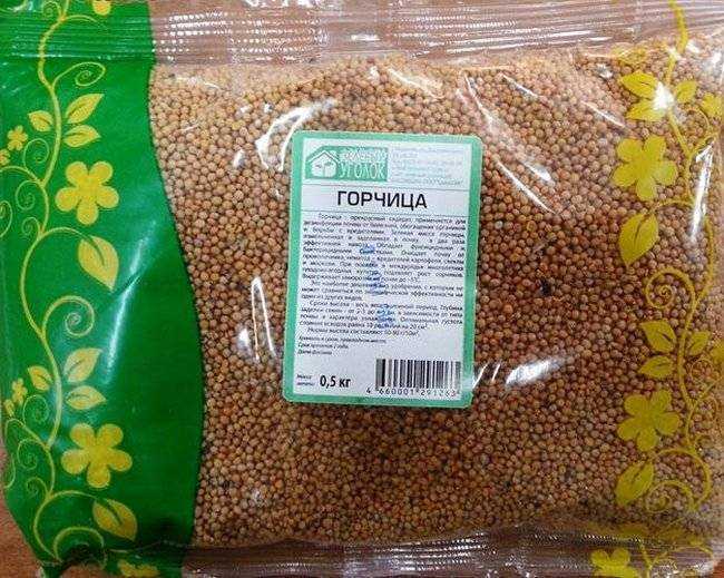 Горчица как сидерат: важные рекомендации по осеннему посеву и дальнейшему использованию. плюсы и минусы посадки горчицы осенью - автор екатерина данилова - журнал женское мнение