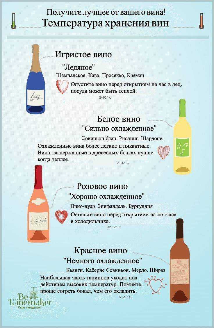 Срок годности шампанского в закрытой бутылке - alcowiki.org