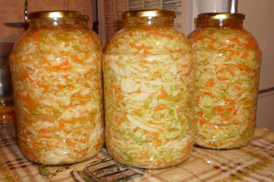 Вредна ли мороженная капуста. можно ли и как замораживать капусту белокочанную на зиму в морозилке