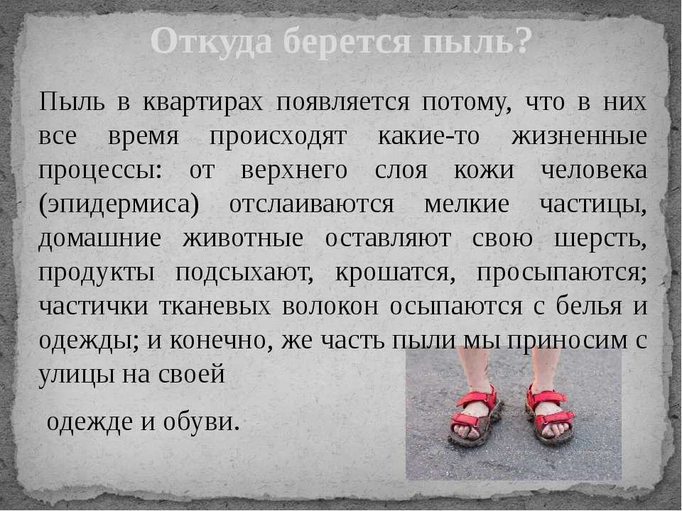 Откуда пыль берется?