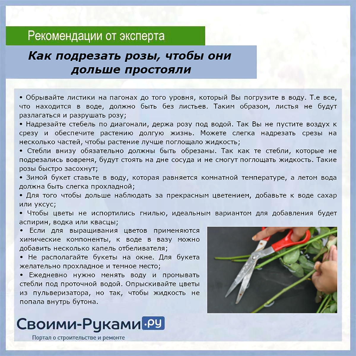Что сделать, чтобы розы дольше стояли. продлеваем жизнь розам