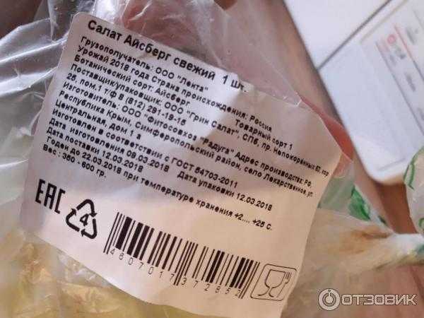 Как правильно хранить салат айсберг