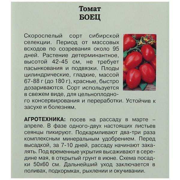 Где и как хранить зеленые помидоры, чтобы они покраснели как можно быстрее и как сохранить надолго спелые плоды