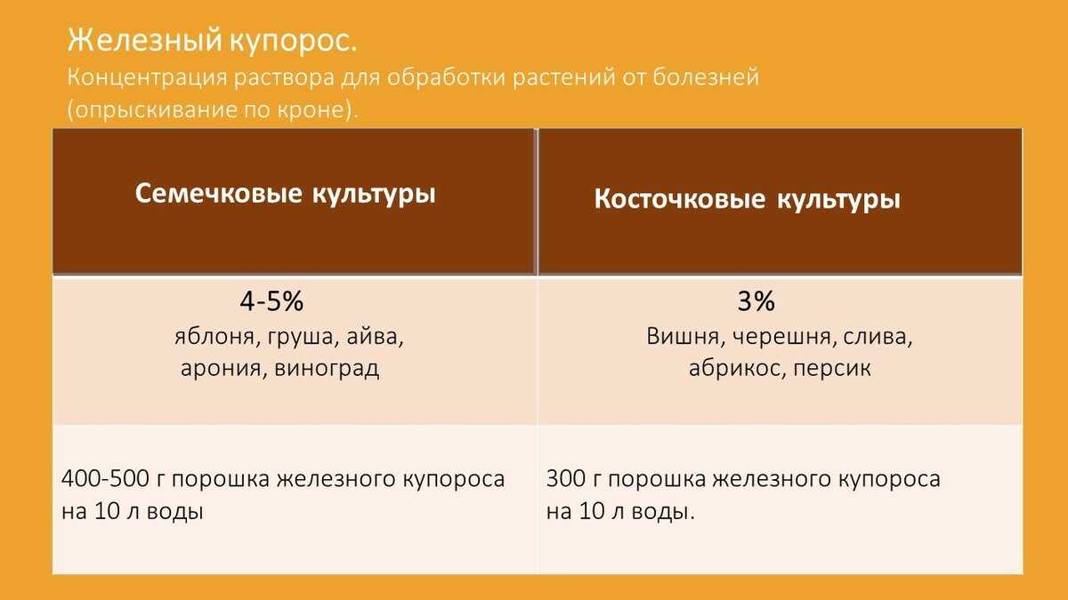 Обработка яблонь медным купоросом весной и осенью: инструкция, как обрабатывать деревья