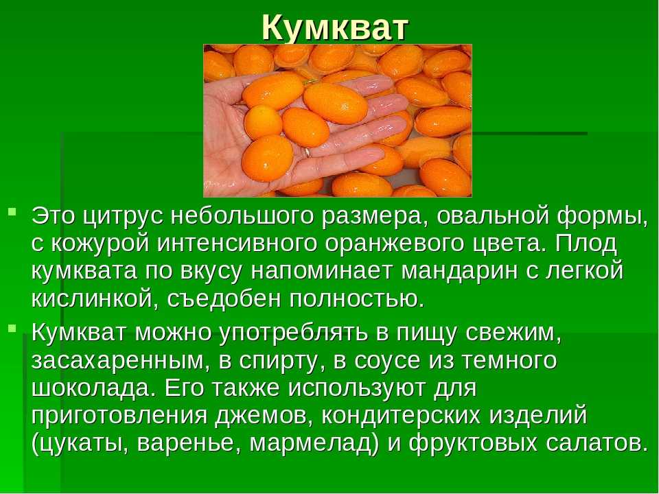 Кумкват – что это за фрукт, как его едят и чем он полезен