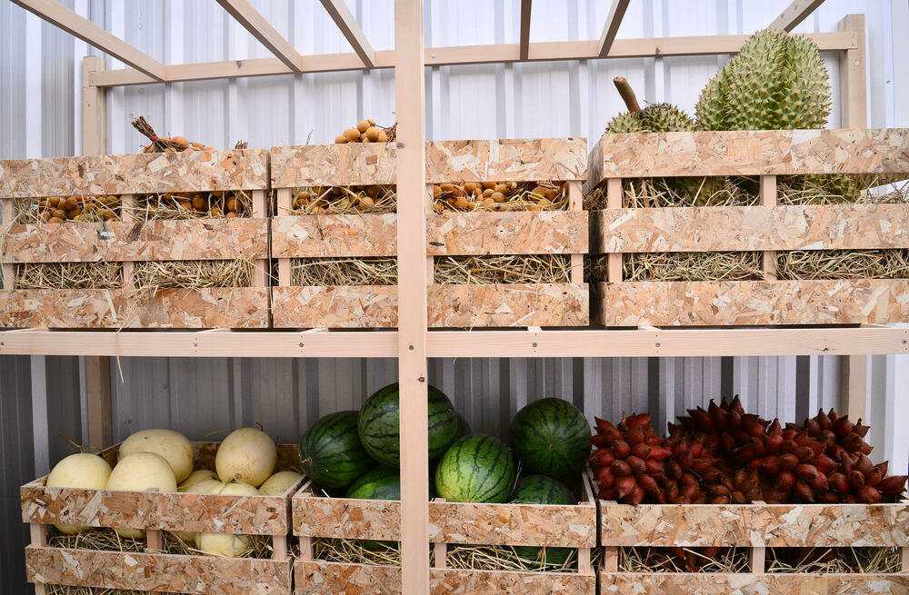 Хранение продуктов дома: правила, условия и сроки