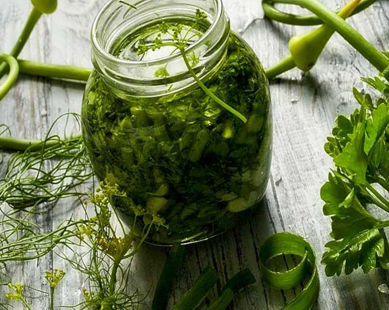 Способы длительного хранения зелени в холодильнике