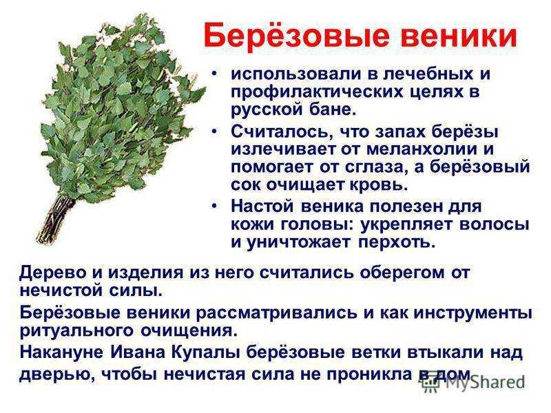 Как хранить веники для бани?