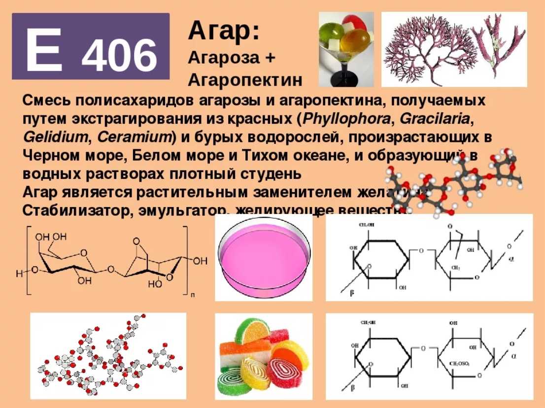 Агар-агар: что это такое, как применять в кулинарии, полезные свойства, рецепты