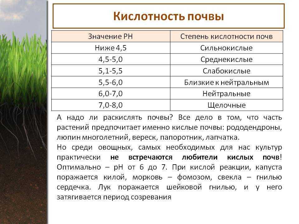 Как ускорить созревание компоста: механический и препаратный метод