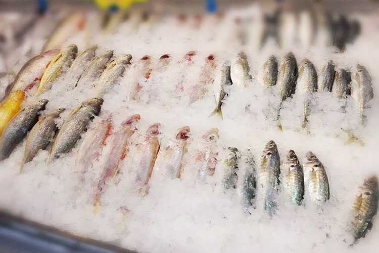 Как хранить продукты в морозильной камере? срок хранения и температура