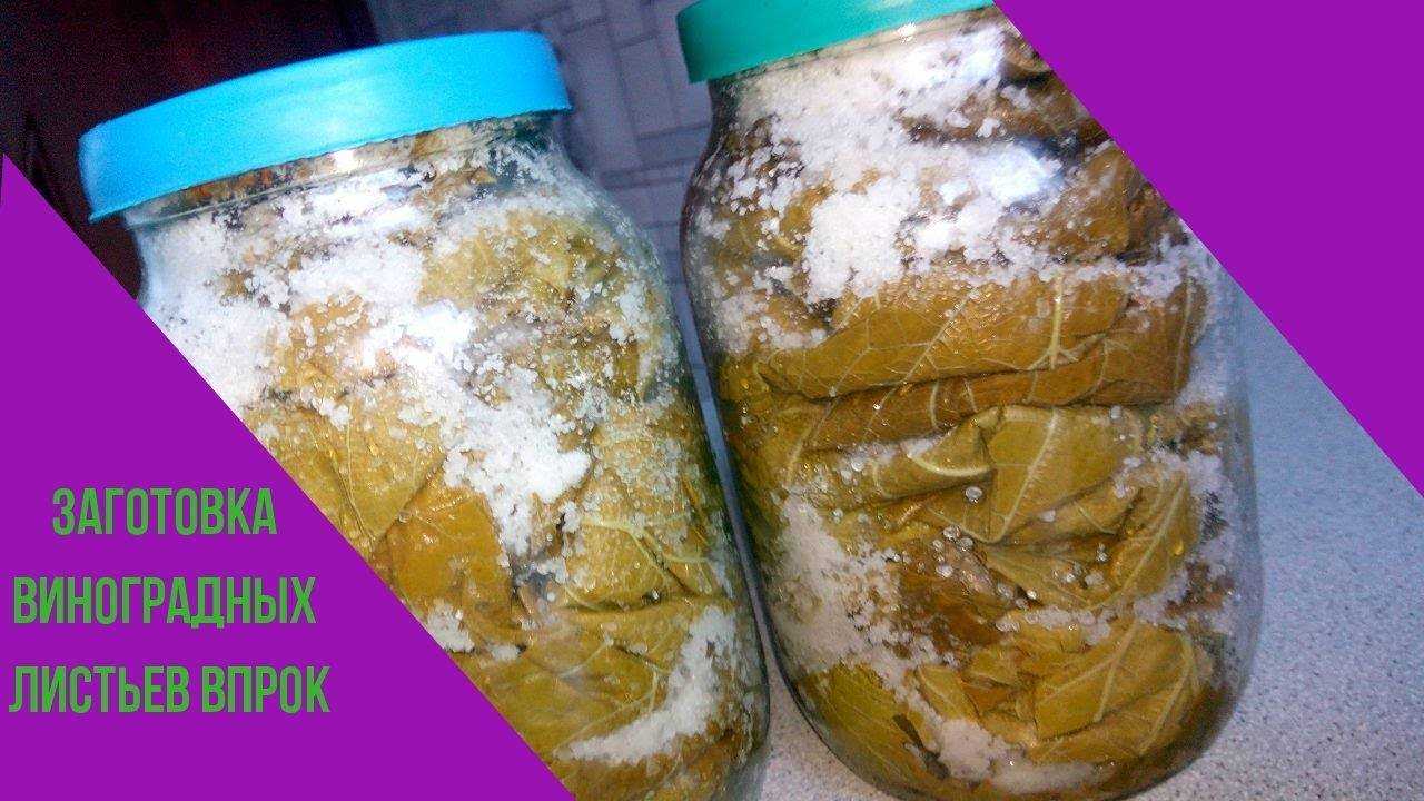 Виноградные листья на зиму для долмы: заготовка, как замариновать, где хранить консервацию