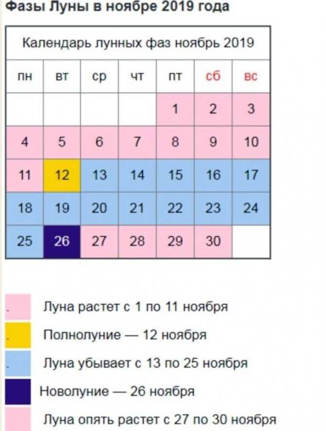 Солим капусту в ноябре 2021: благоприятные дни для заготовок на зиму