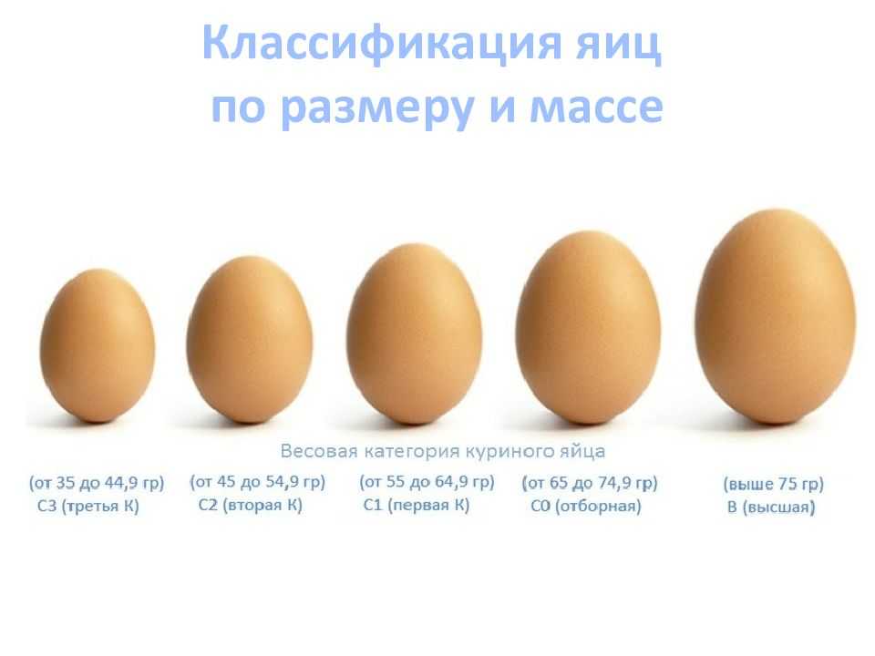 Категории куриных яиц: чем отличаются, классификация, вес, какая лучше