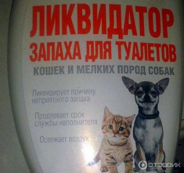 Чем эффективно отмыть лоток для котов - полезные советы