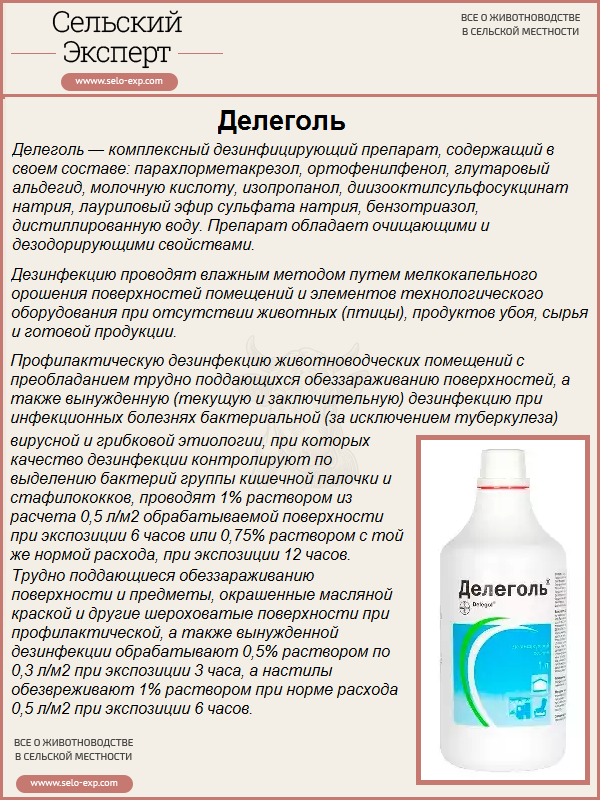 Чем дезинфицировать клетки кроликов в домашних условиях?