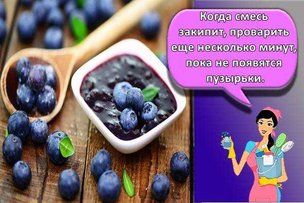 Как лучше сохранить голубику на зиму | pot flowers