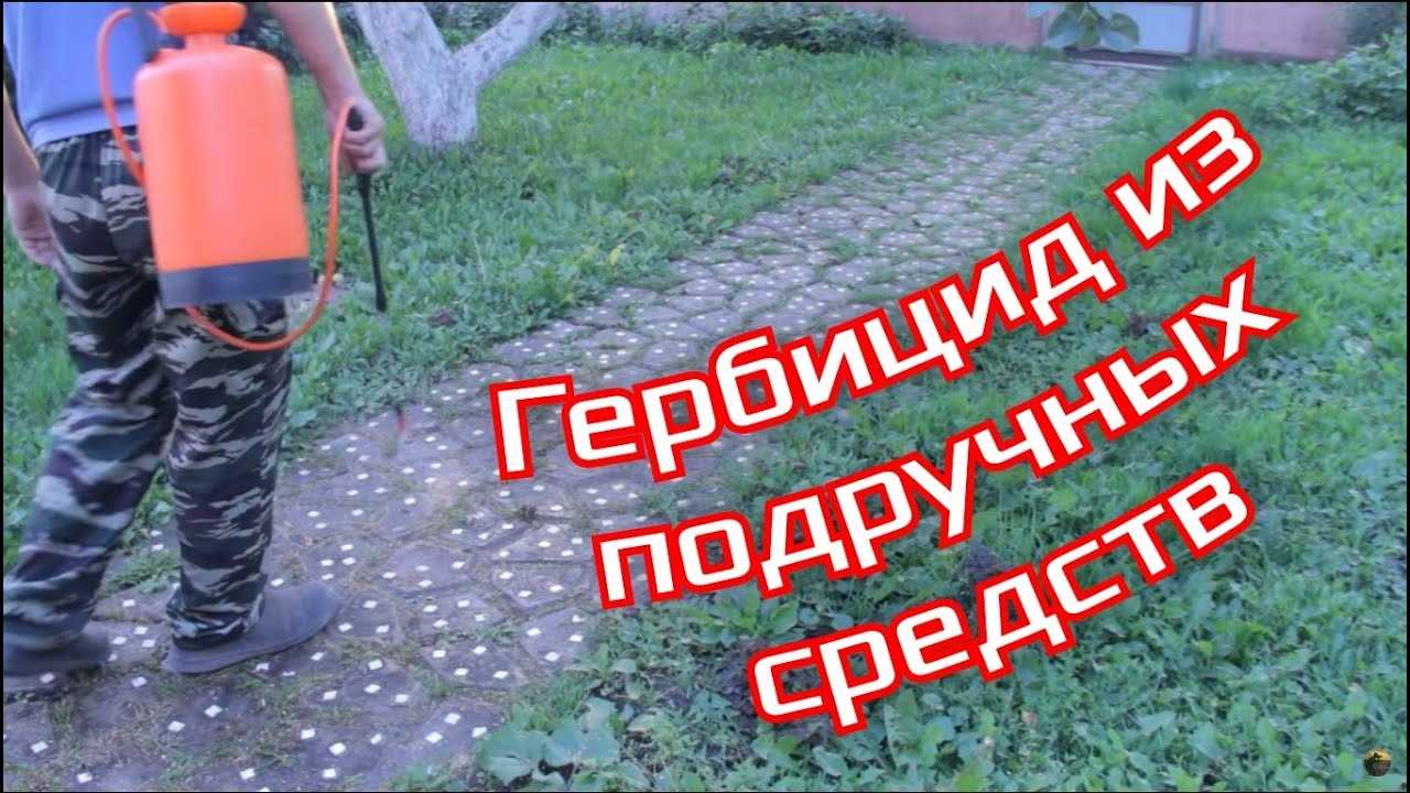 Как удалить траву между тротуарной плиткой механическим способом
