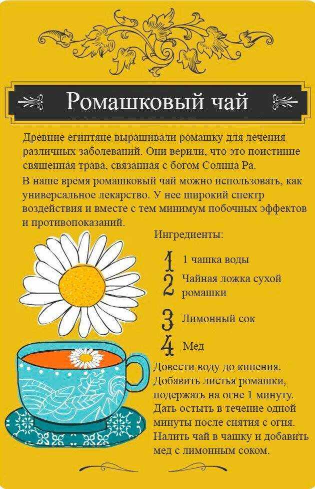 Ромашка от всего: польза и лечебные свойства знаменитого цветка