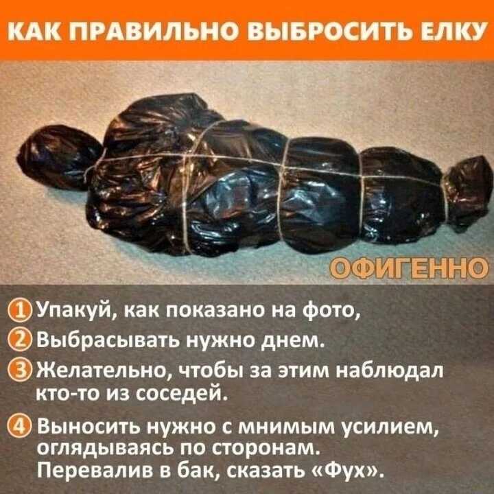 Чтобы елка не осыпалась
