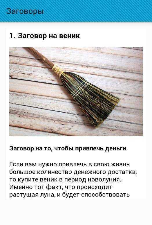 Заготовка веников для бани: сроки и как правильно заготавливать.