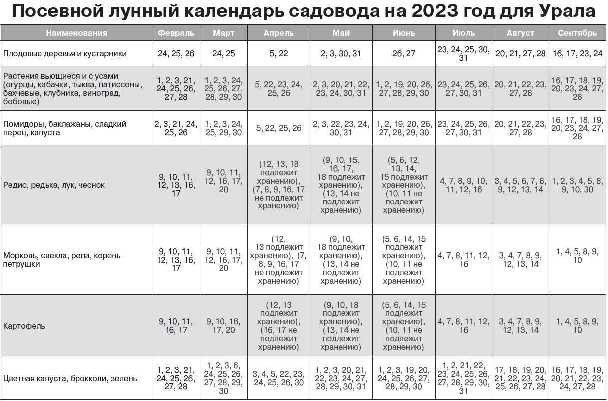 Когда в 2023 и как солить капусту: 2 простых рецепта хрустящей капусточки