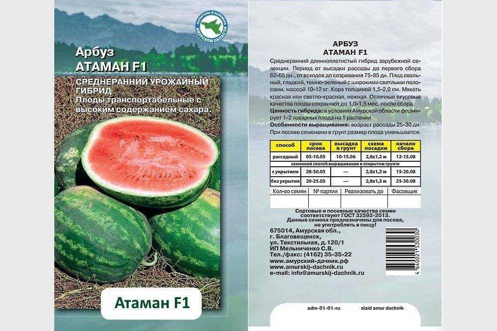 Какие сорта арбузов выращивают в астрахани