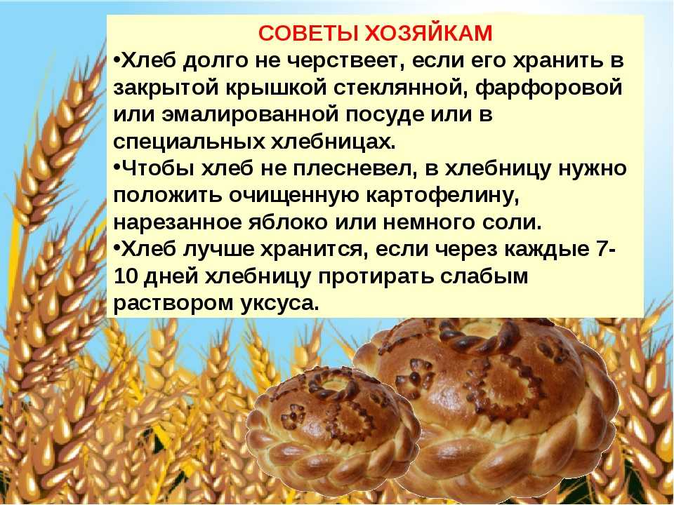Как хранить хлеб, чтобы он не плесневел и не черствел