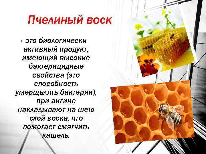 Применение, состав и полезные свойства пчелиного воска