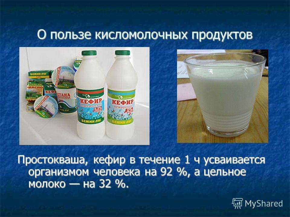 Как хранить молоко и молочные продукты? :: инфониак