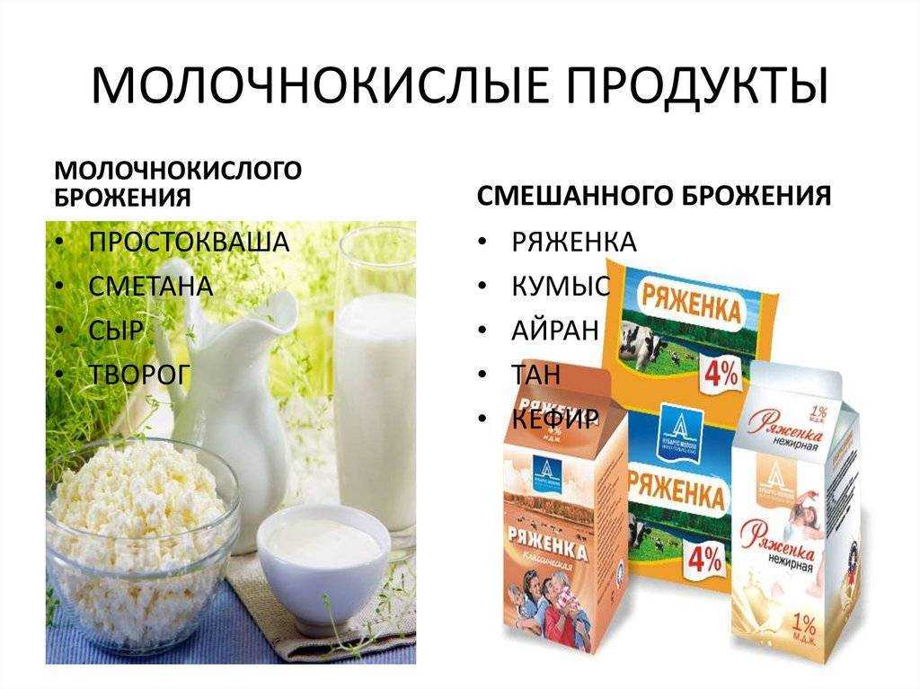 Польза кисломолочных продуктов. как и сколько хранить кефир, ряженку, простоквашу
