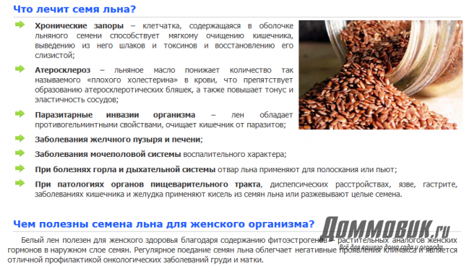 Семена льна для очищения кишечника - medside.ru