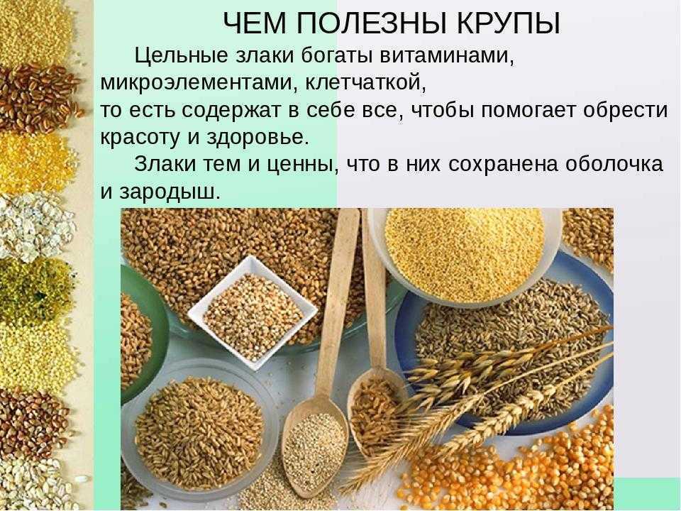Перловая крупа из какого зерна делают