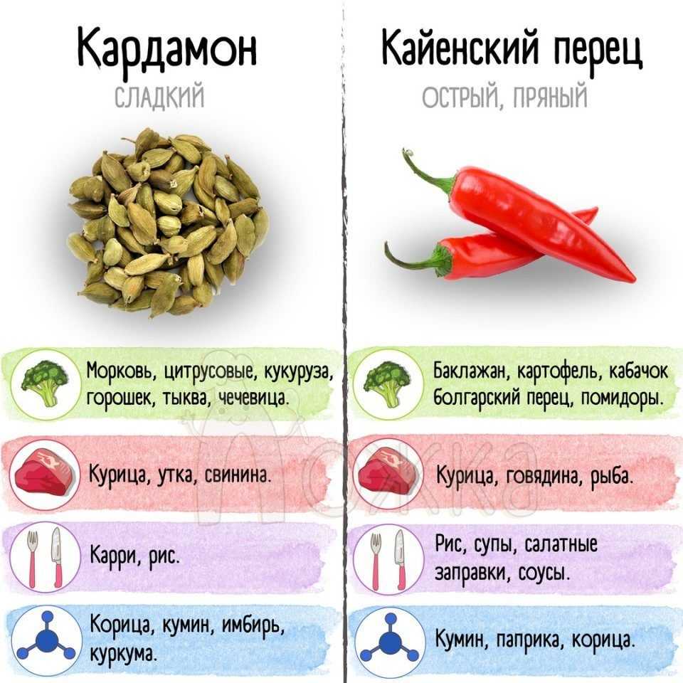 Какие специи для чего подходят – таблица, тонкости использования, краткий экскурс в мир ароматов и вкусов