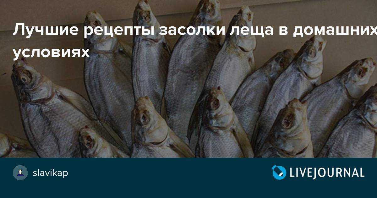 Как правильно солить рыбу для сушки в домашних условиях