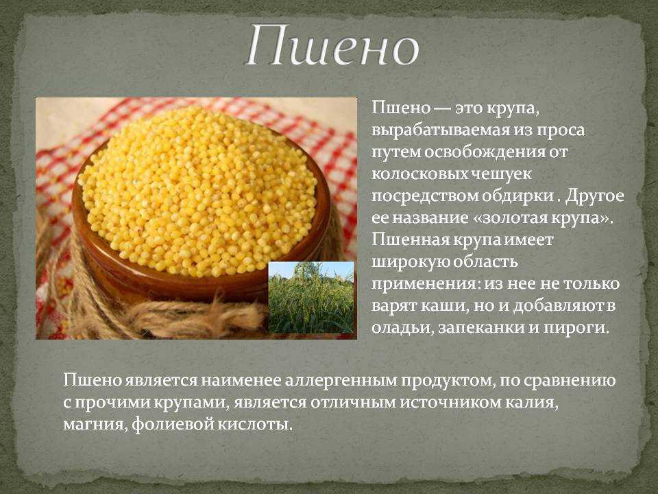 Просо: польза для здоровья