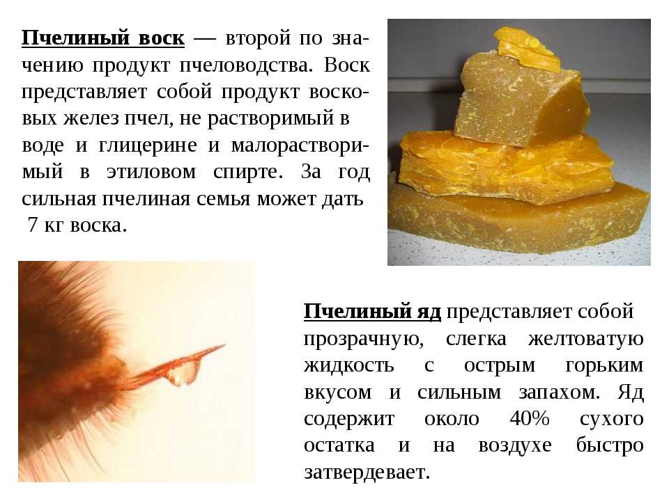Народные методы осветления, очистки и перетопки воска в домашних условиях