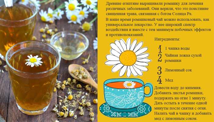Ромашка: польза и химический состав цветов | food and health