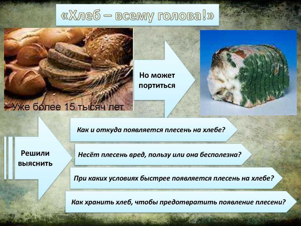 Почему в хлебнице плесневеет хлеб?