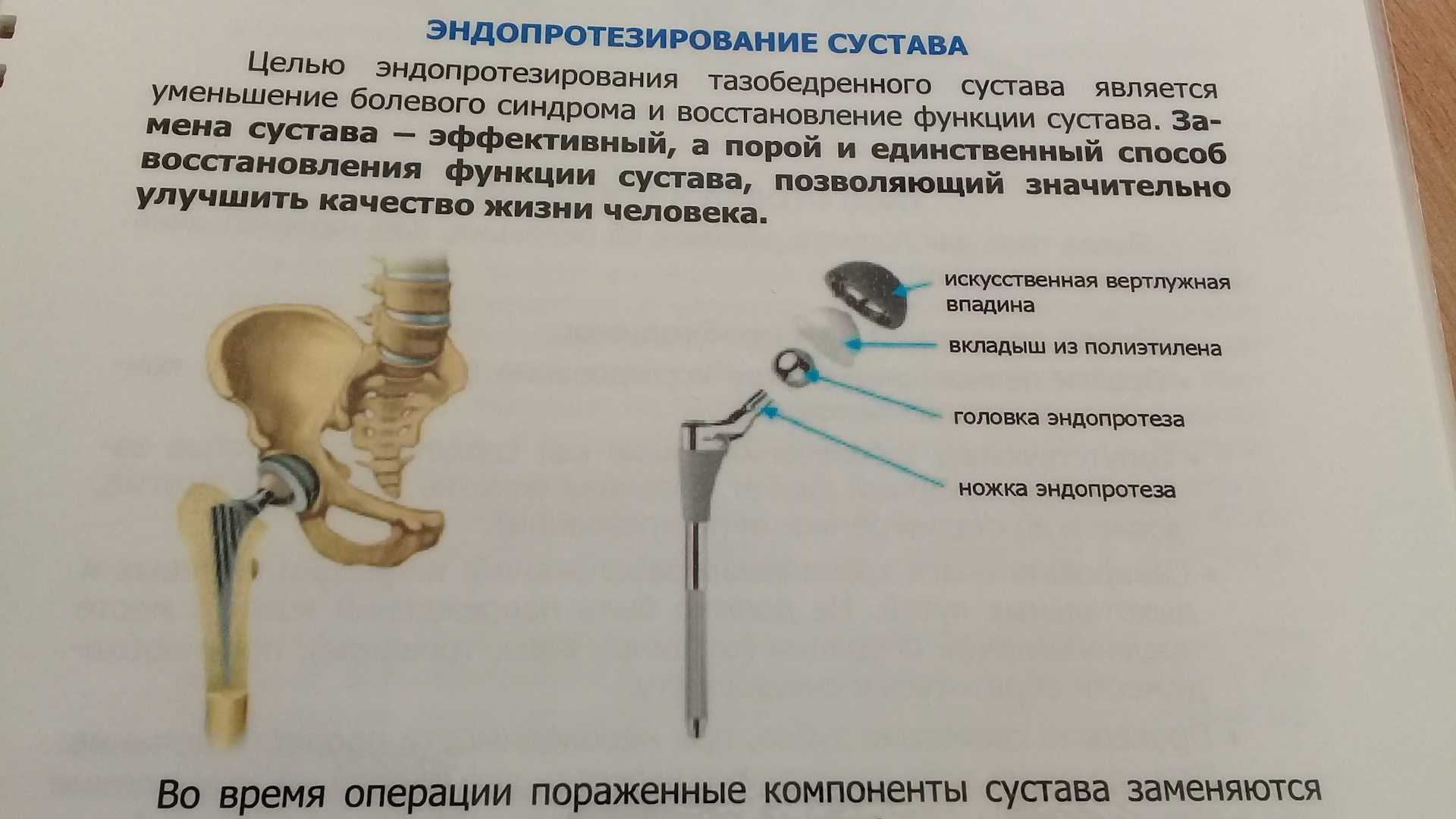 Как принимать бобровую струю