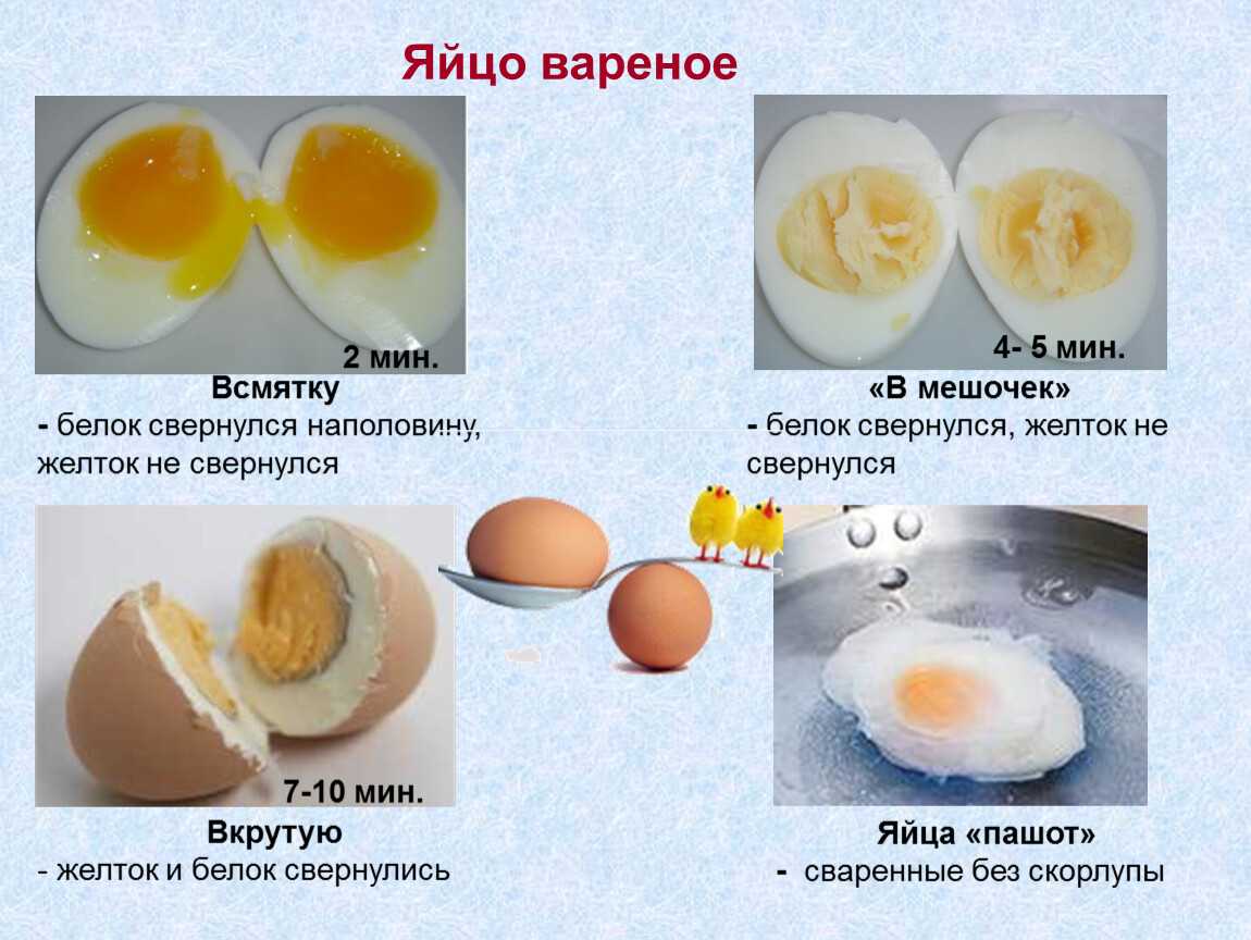В каком виде куриные яйца полезнее для здоровья: сырые или вареные, всмятку или вкрутую, желток или белок