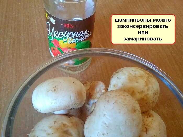 Как и где правильно хранить шампиньоны в домашних условиях