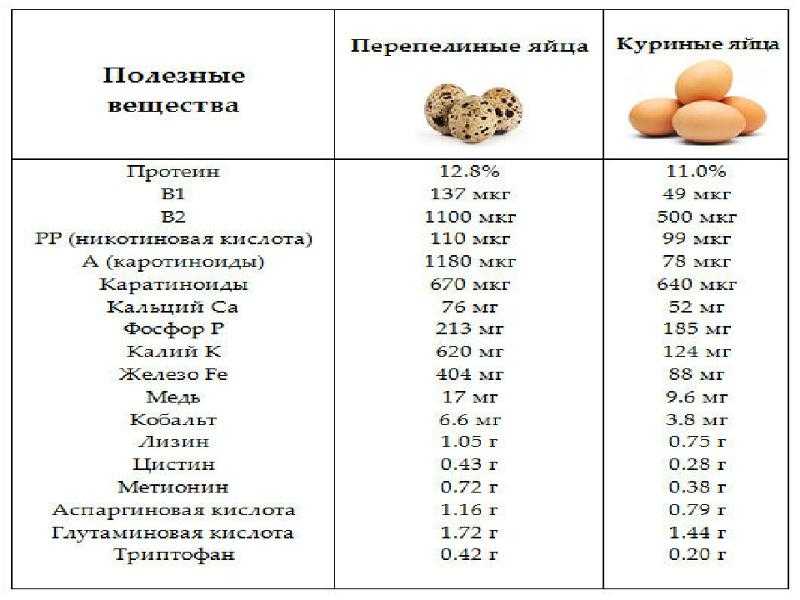 Яйцо перепелиное: польза и вред | food and health