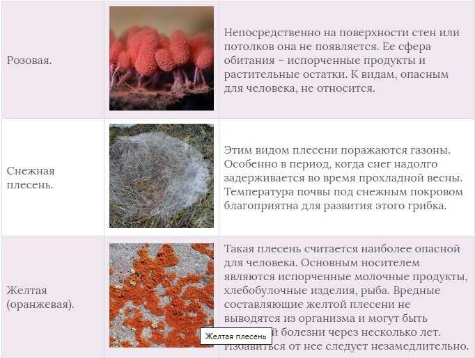 Как избавиться от сырости в гараже
