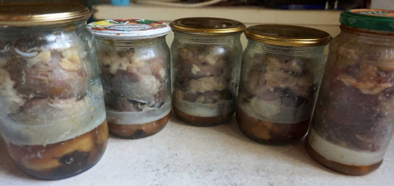 Срок и условия хранения тушенки