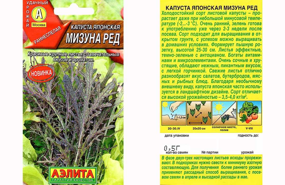Выращивание микрозелени в домашних условиях: как вырастить
