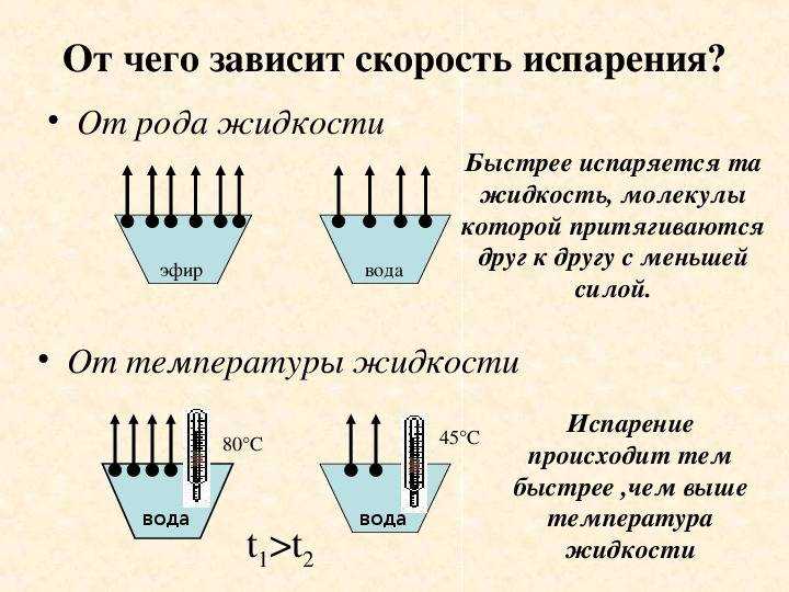 Сушка обуви народными и профессиональными способами как быстро высушить обувь после дождя или стирки: лучшие способы