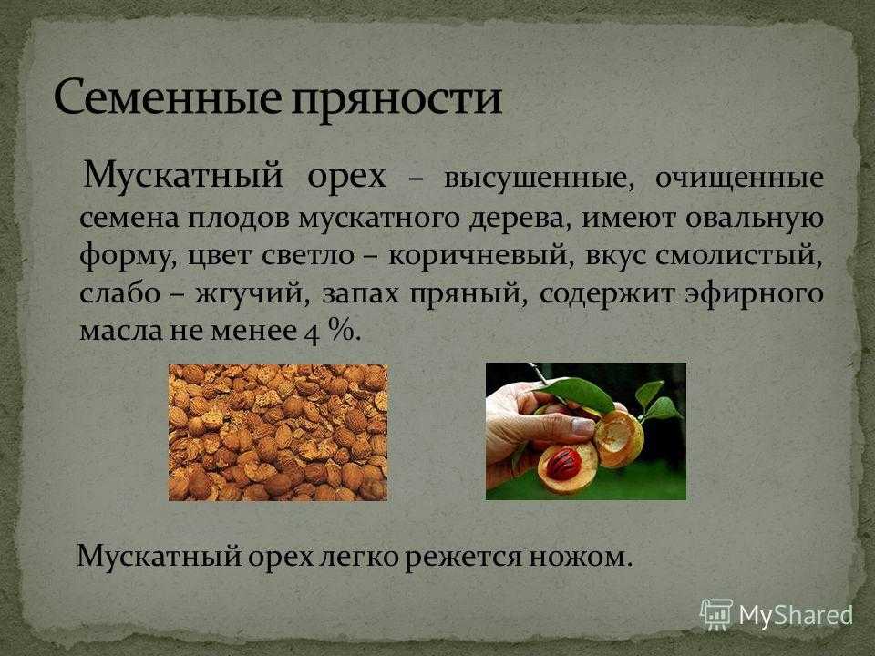 Мускатный орех: полезные свойства и применение