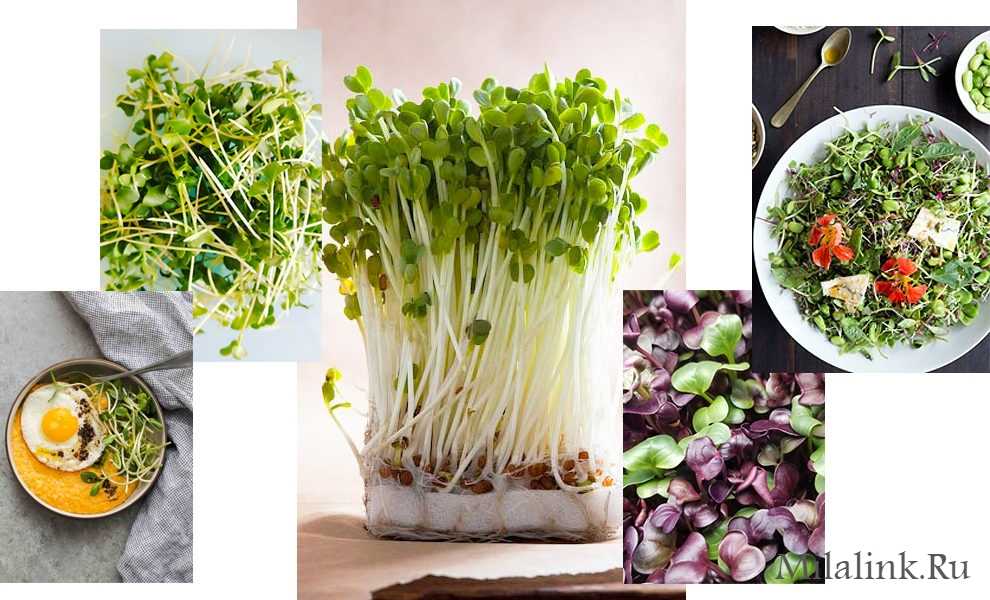 Как готовить семена чиа для того, чтобы было вкусно и полезно?